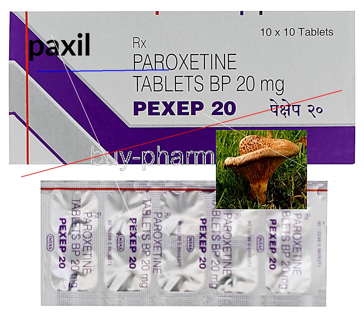 Achat paxil en ligne